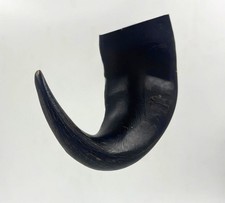 4 Buffalo Bull Horn Small