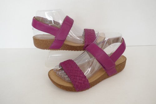 New hotter haven - new, purple