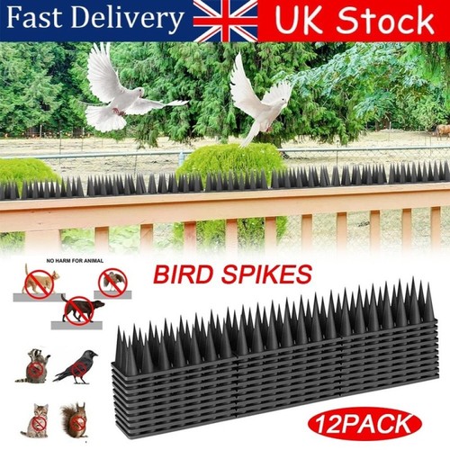 Bird spikes for - bird,