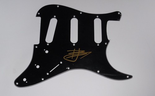 Avenged sevenfold synyster - sevenfold,