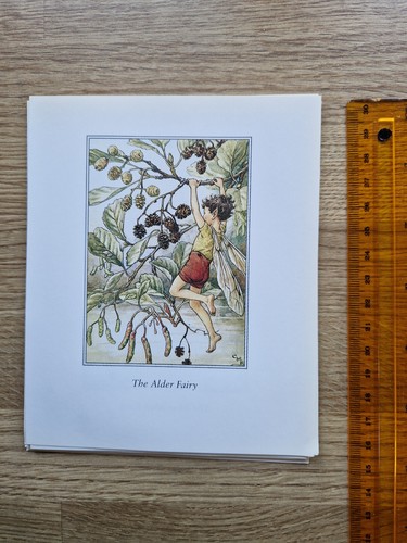 Cicely mary barker - cicely,
