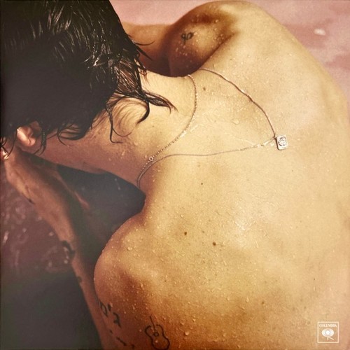 Harry styles - styles, styles"