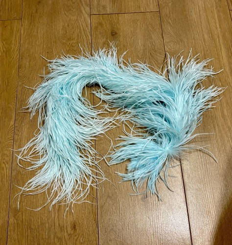 Light turquoise blue ostrich - turquoise,