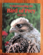 Understanding the bird prey - understanding,