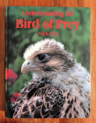 Understanding the bird prey - the, of