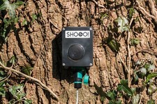 Audio bird scarer for - audio,