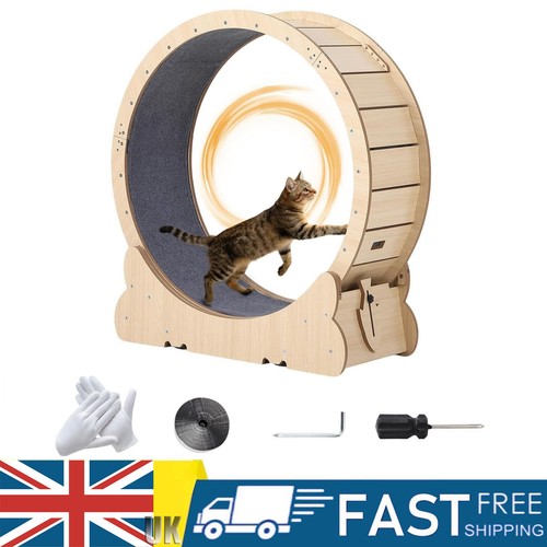 90cm cat exercise - exercise,