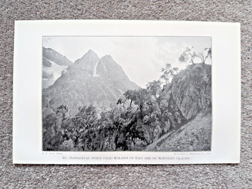 Mount harbagevan himalayas - mount,