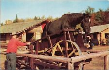c1960s FRONTIER TOWN New York