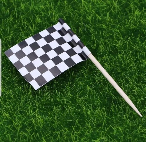 Chequered flags racing - 12,