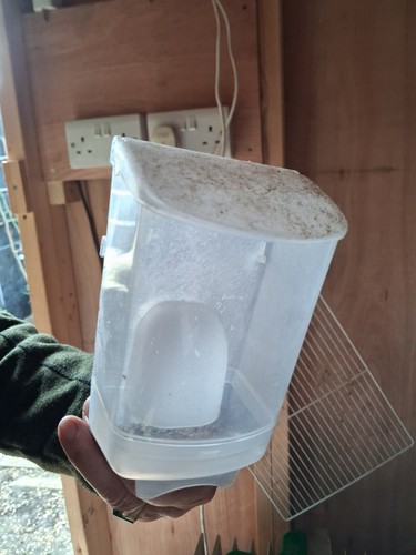 Seed hoppers for canaries etc - canaries, etc.