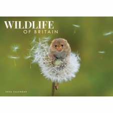 Otter House Wildlife Of Britain A4 Calendar Month to View 2026