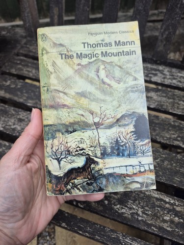 The magic mountain - magic, mann