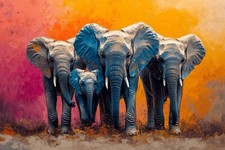 Elephant Animal Canvas Picture
