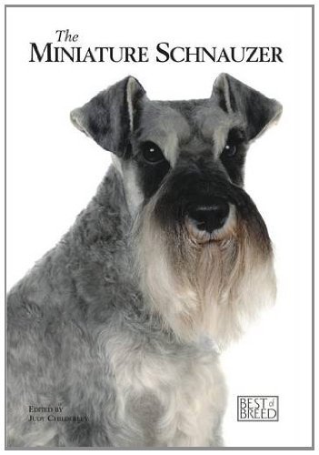 Miniature schnauzer best - -, of