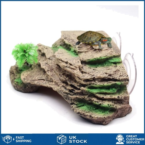 Natural resin turtle basking - natural,