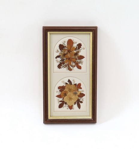 Vintage pressed dried flowers - dried,