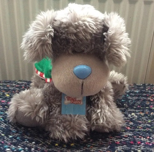 Tatty puppy you - tatty,