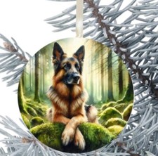 Alsatian German Shepherd Dog