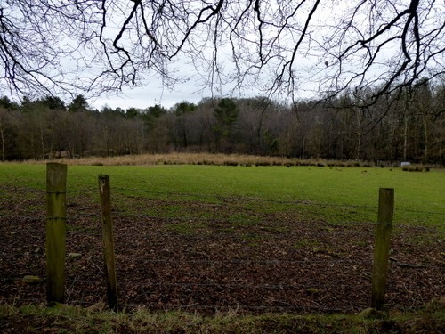 Photo 6x4 pasture land - 6x4,