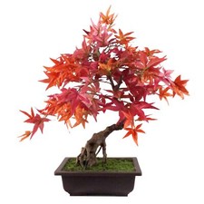 Artificial Large Bonsai Tree