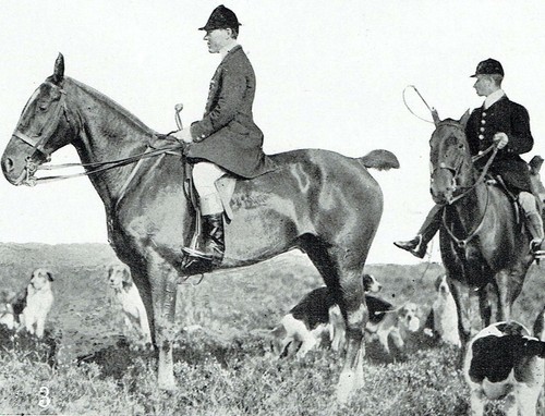 Exmoor hunt foxhounds meet - foxhounds,