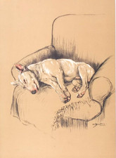 OLD VINTAGE PRINT DOG DOGS