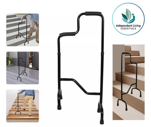 Stair climbing assist - climbing, cane