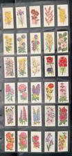 Carreras Black Cat -FLOWERS