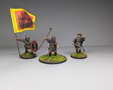 28mm, Dark Ages, Vikings