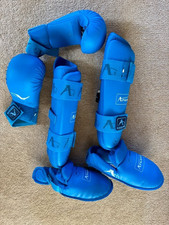 Karate Protective Gear Sparring Set Shin Guards & Gloves Mitt with Thumb size M