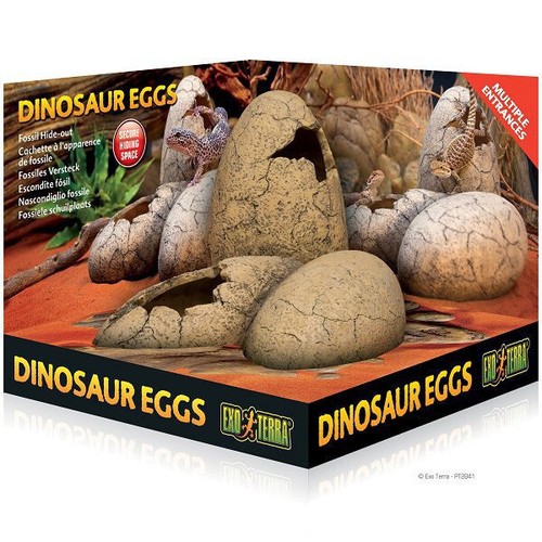 Exo terra dinosaur eggs - terra,