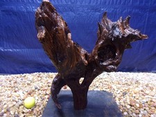 Large Driftwood Mounted on
