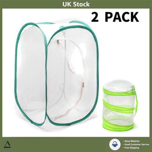 Durable pop insect - pop-up,