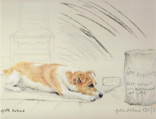 Jack russell terrier print - jack,