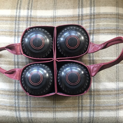 Taylor lignoid bb99 circle - taylor,