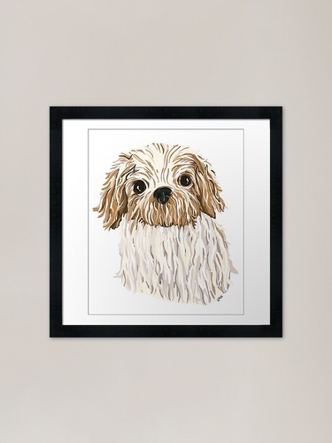 Chumps the shih tzu - tzu, framed