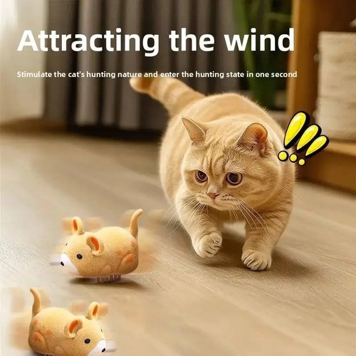 Interactive electric cat toy - electric,