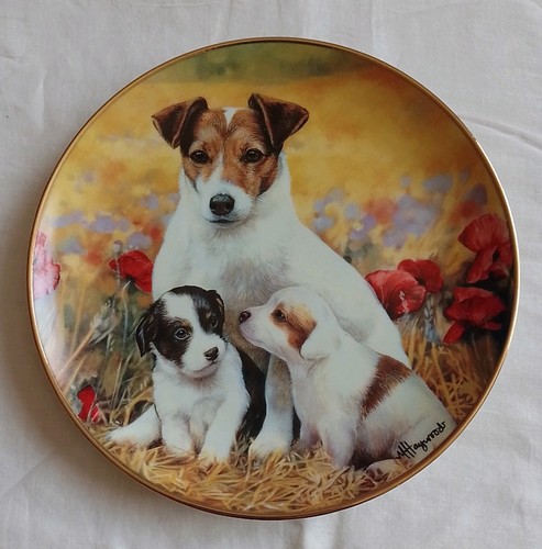 Puppies and poppies porcelain - and,
