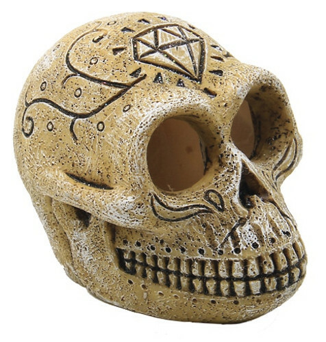 Superfish monkey skull - monkey,