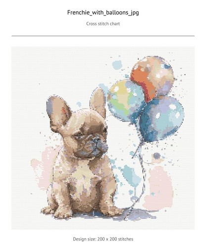 Cute french bulldog puppy - bulldog,