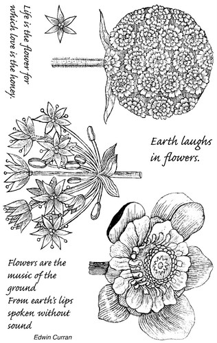 Unmounted rubber stamps star - unmounted,