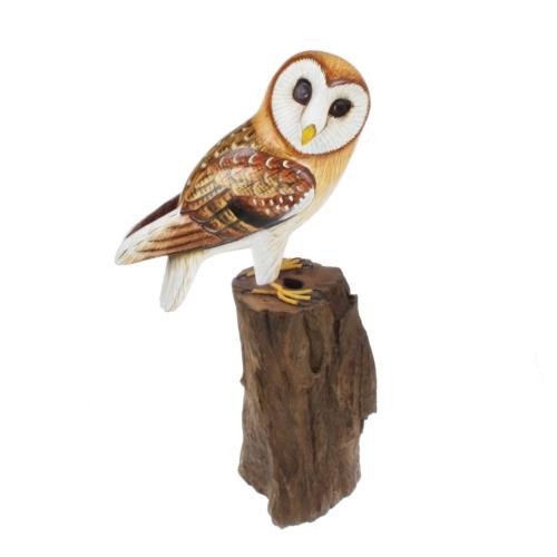 Barn owl tree - owl, on