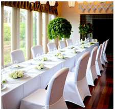 STRETCH SPANDEX FOLDING CHAIR