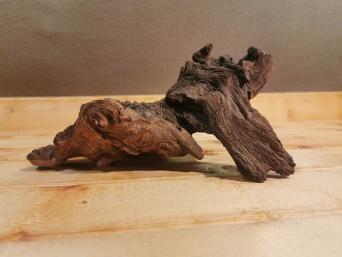 498g mopani wood for loaches - wood,