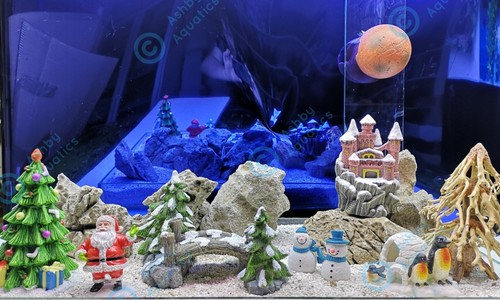 Aquarium christmas ornaments - aquarium,