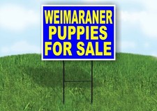 Weimaraner PUPPIES FOR SALE