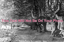 SX 5764 - Roman Road, Balcombe, Sussex