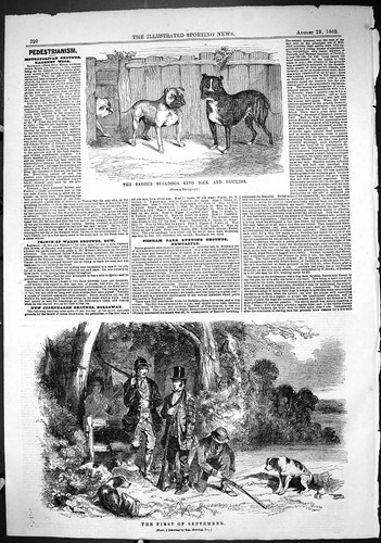 Old 1863 famous - old, bulldogs