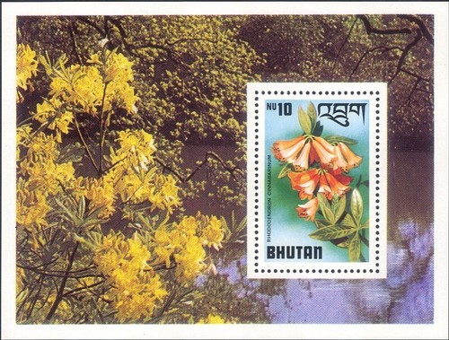 Bhutan 1976